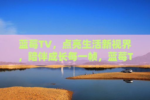 蓝莓TV，点亮生活新视界，陪伴成长每一帧，蓝莓TV，点亮视界，陪伴成长