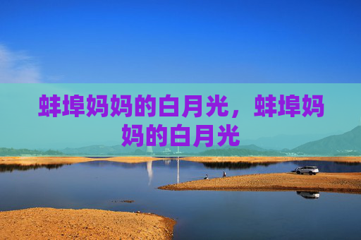 蚌埠妈妈的白月光，蚌埠妈妈的白月光