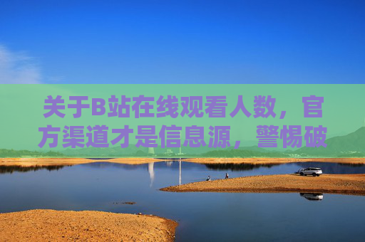 关于B站在线观看人数，官方渠道才是信息源，警惕破解版风险，B站在线观看人数，认准官方渠道，警惕破解版风险