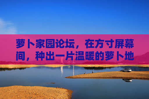 萝卜家园论坛，在方寸屏幕间，种出一片温暖的萝卜地，方寸屏幕间，种出温暖的萝卜家园