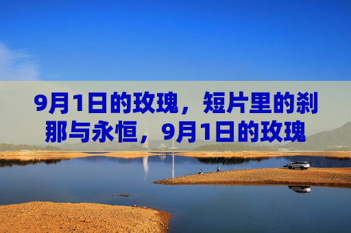 9月1日的玫瑰，短片里的刹那与永恒，9月1日的玫瑰，短片里的刹那与永恒