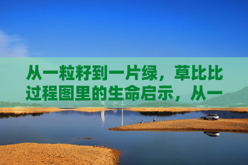 从一粒籽到一片绿，草比比过程图里的生命启示，从一粒籽到一片绿，草比比过程图的生命启示