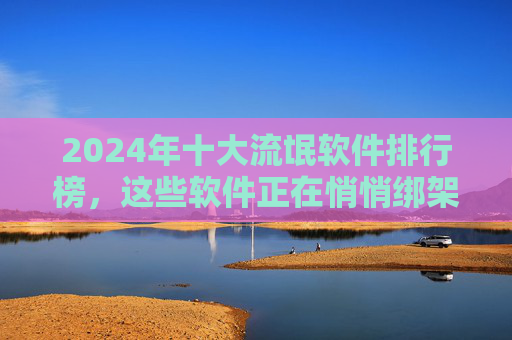 2024年十大流氓软件排行榜，这些软件正在悄悄绑架你的电脑！2024十大流氓软件排行榜，正悄悄绑架你的电脑！