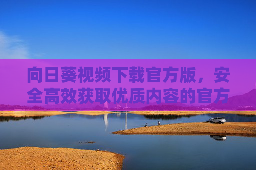 向日葵视频下载官方版，安全高效获取优质内容的官方渠道，向日葵视频官方下载版，安全高效获取优质内容