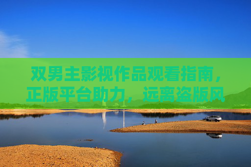 双男主影视作品观看指南，正版平台助力，远离盗版风险，双男主影视观看指南，正版平台助力，远离盗版风险