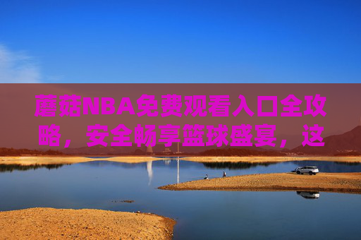蘑菇NBA免费观看入口全攻略，安全畅享篮球盛宴，这些合法渠道别错过，蘑菇NBA免费观看全攻略，安全合法入口别错过