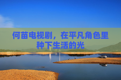 何苗电视剧，在平凡角色里种下生活的光