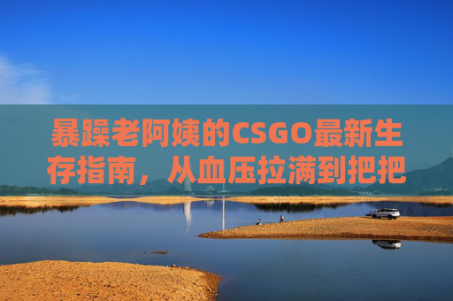 暴躁老阿姨的CSGO最新生存指南，从血压拉满到把把带飞的逆袭路，暴躁老阿姨最新CSGO生存指南，从血压拉满到把把带飞的逆袭路