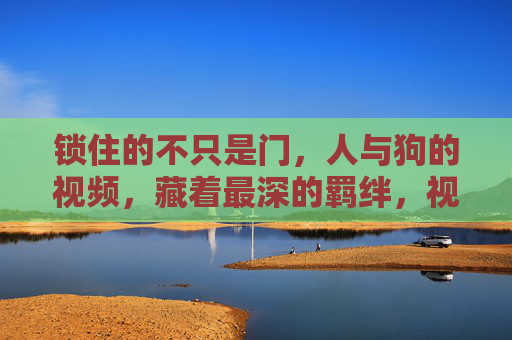 锁住的不只是门，人与狗的视频，藏着最深的羁绊，视频里的锁，藏着人与狗最深羁绊