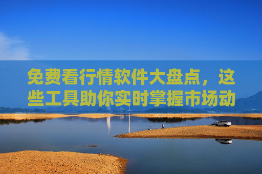 免费看行情软件大盘点，这些工具助你实时掌握市场动态，免费行情软件大盘点，实时掌握市场动态的工具指南