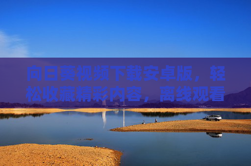 向日葵视频下载安卓版，轻松收藏精彩内容，离线观看更自由，向日葵视频下载安卓版，收藏精彩，离线更自由