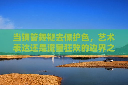 当钢管舞褪去保护色，艺术表达还是流量狂欢的边界之辩，褪去保护色的钢管舞，艺术表达与流量狂欢的边界之辩