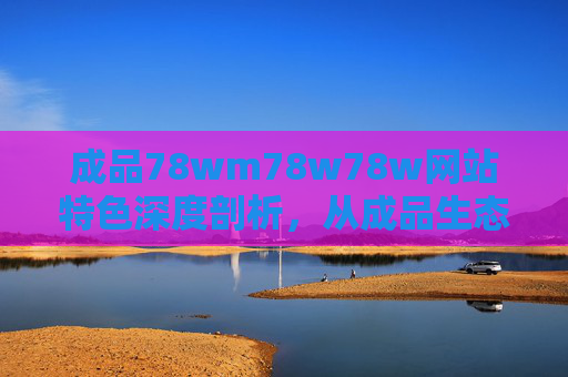 成品78wm78w78w网站特色深度剖析，从成品生态到用户价值的全面构建，成品78wm78w78w网站特色深度剖析，生态与用户价值的全面构建