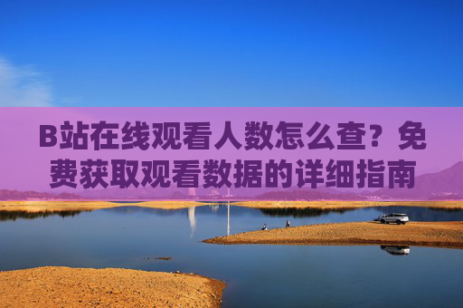 B站在线观看人数怎么查？免费获取观看数据的详细指南，免费查询B站在线观看人数，详细指南
