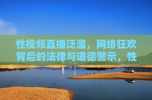 性视频直播泛滥，网络狂欢背后的法律与道德警示，性视频直播泛滥，网络狂欢的法律与道德警示