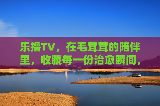 乐撸TV，在毛茸茸的陪伴里，收藏每一份治愈瞬间，乐撸TV，收藏毛茸茸的治愈陪伴