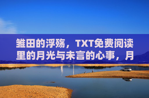 雏田的浮殇，TXT免费阅读里的月光与未言的心事，月光未言·雏田浮殇