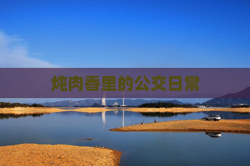 炖肉香里的公交日常