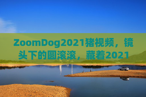 ZoomDog2021猪视频，镜头下的圆滚滚，藏着2021年最治愈的答案，2021年，镜头下圆滚滚的治愈答案