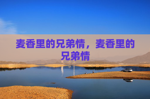 麦香里的兄弟情，麦香里的兄弟情