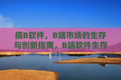 搞B软件，B端市场的生存与创新指南，B端软件生存与创新指南