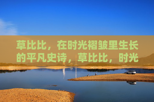 草比比，在时光褶皱里生长的平凡史诗，草比比，时光褶皱里的平凡史诗