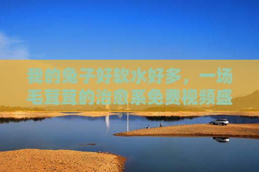 我的兔子好软水好多，一场毛茸茸的治愈系免费视频盛宴