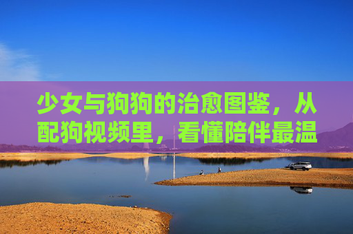 少女与狗狗的治愈图鉴，从配狗视频里，看懂陪伴最温暖的样子，少女与狗狗的配狗视频，陪伴最温暖的样子