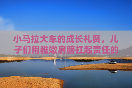 小马拉大车的成长礼赞，儿子们用稚嫩肩膀扛起责任的暖心视频大全，稚嫩肩膀扛起责任，儿子的暖心成长礼赞
