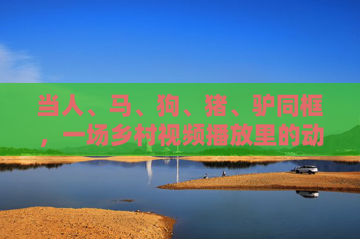 当人、马、狗、猪、驴同框，一场乡村视频播放里的动物交响曲，人马狗猪驴同框，乡村动物交响曲