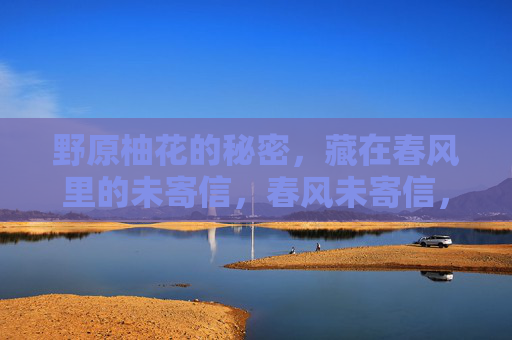 野原柚花的秘密，藏在春风里的未寄信，春风未寄信，野原柚花的秘密