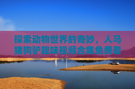 探索动物世界的奇妙，人马猪狗驴趣味视频合集免费看，人马猪狗驴趣味视频合集免费看