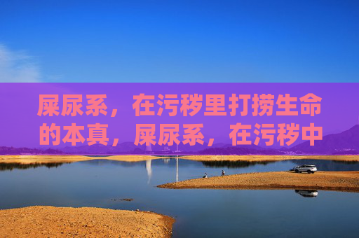 屎尿系，在污秽里打捞生命的本真，屎尿系，在污秽中打捞生命本真