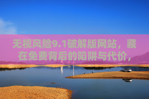 无视风险9.1破解版网站，藏在免费背后的陷阱与代价，免费破解版网站，无视风险背后的陷阱与代价