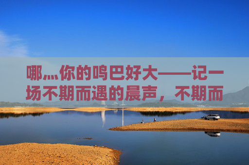 哪灬你的鸣巴好大——记一场不期而遇的晨声，不期而遇的晨声