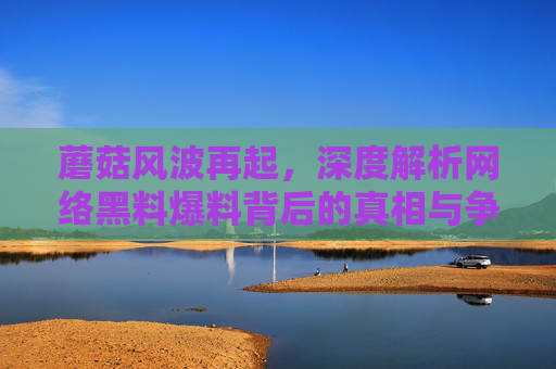蘑菇风波再起，深度解析网络黑料爆料背后的真相与争议，蘑菇风波再起，网络黑料爆料背后的真相与争议