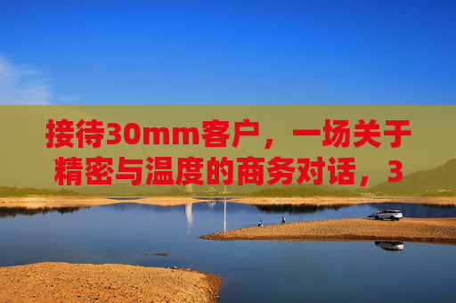 接待30mm客户，一场关于精密与温度的商务对话，30mm客户，精密与温度的商务对话