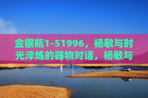 金银瓶1-51996，杨敏与时光淬炼的器物对话，杨敏与时光淬炼的金银瓶对话