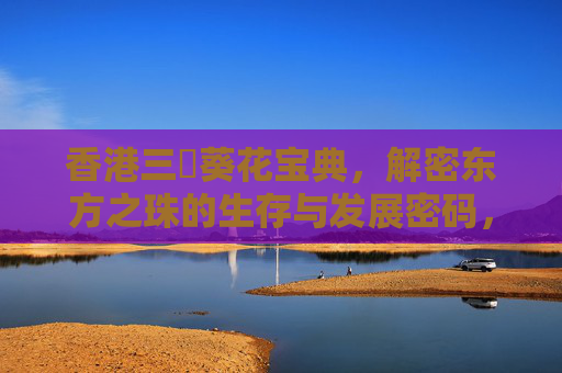香港三㚫葵花宝典,解密东方之珠的生存与发展密码,三㚫葵花宝典,解密香港生存与发展密码 香港三㚫葵花宝典,解密东方之珠的生存与发展密码,三㚫葵花宝典,解密香港生存与发展密码