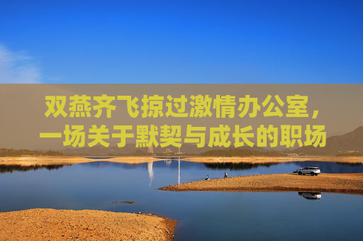 双燕齐飞掠过激情办公室,一场关于默契与成长的职场协奏曲,双燕齐飞,职场默契与成长的协奏曲 双燕齐飞掠过激情办公室,一场关于默契与成长的职场协奏曲,双燕齐飞,职场默契与成长的协奏曲