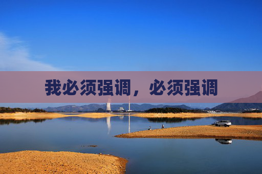 我必须强调，必须强调