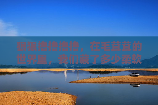 狠狠撸撸撸撸,在毛茸茸的世界里,我们藏了多少柔软的渴望,毛茸茸世界里的柔软渴望 狠狠撸撸撸撸,在毛茸茸的世界里,我们藏了多少柔软的渴望,毛茸茸世界里的柔软渴望