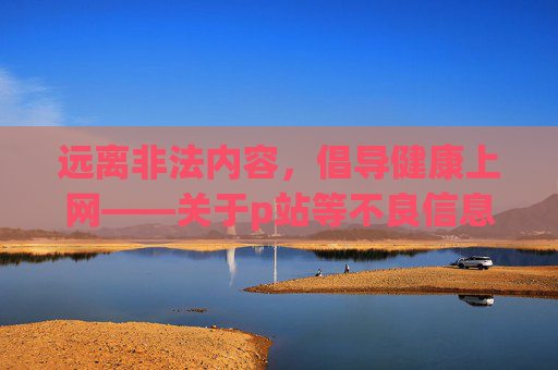 远离非法内容,倡导健康上网——关于p站等不良信息的法律警示与健康引导 远离非法内容,倡导健康上网——关于p站等不良信息的法律警示与健康引导