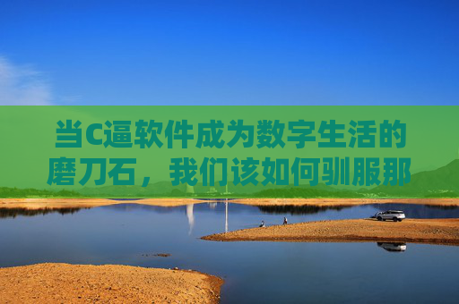 当C逼软件成为数字生活的磨刀石,我们该如何驯服那些让人血压飙升的应用?当软件成为数字磨刀石,如何驯服血压飙升的应用? 当C逼软件成为数字生活的磨刀石,我们该如何驯服那些让人血压飙升的应用?当软件成为数字磨刀石,如何驯服血压飙升的应用?