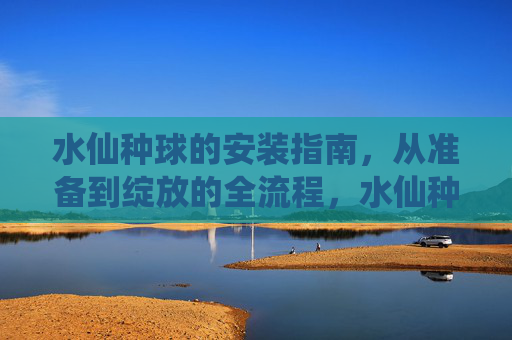 水仙种球的安装指南,从准备到绽放的全流程,水仙种球从准备到绽放的种植指南 水仙种球的安装指南,从准备到绽放的全流程,水仙种球从准备到绽放的种植指南