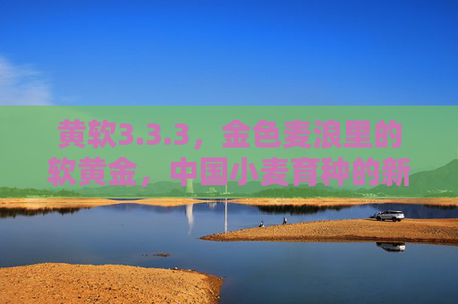 黄软3.3.3,金色麦浪里的软黄金,中国小麦育种的新里程碑,黄软3.3.3,中国小麦育种的软黄金新里程碑 黄软3.3.3,金色麦浪里的软黄金,中国小麦育种的新里程碑,黄软3.3.3,中国小麦育种的软黄金新里程碑