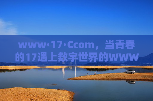www·17·Ccom,当青春的17遇上数字世界的WWW www·17·Ccom,当青春的17遇上数字世界的WWW