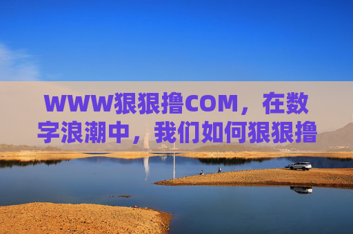 WWW狠狠撸COM,在数字浪潮中,我们如何狠狠撸出价值?数字浪潮中,如何狠狠撸出价值? WWW狠狠撸COM,在数字浪潮中,我们如何狠狠撸出价值?数字浪潮中,如何狠狠撸出价值?