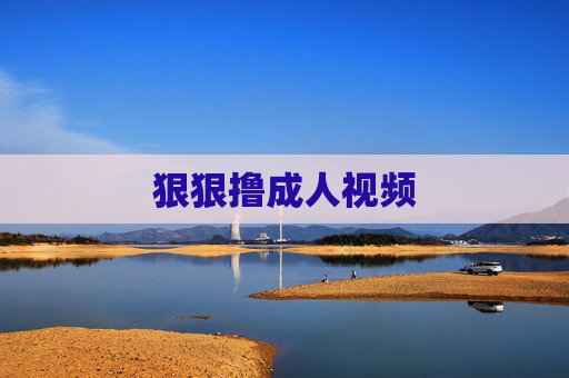 狠狠撸成人视频
