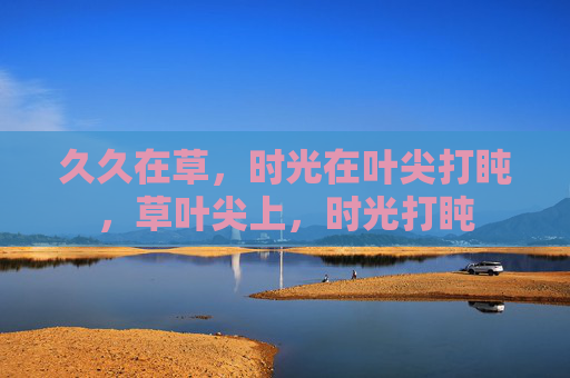 久久在草，时光在叶尖打盹，草叶尖上，时光打盹